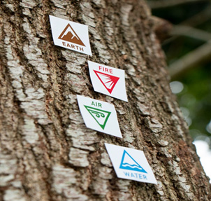 Stickers On Tree